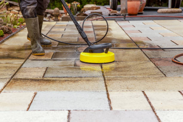 Best Fence Cleaning  in Apalachin, NY
