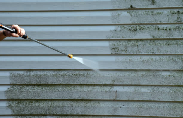 Best Gutter Cleaning  in Apalachin, NY
