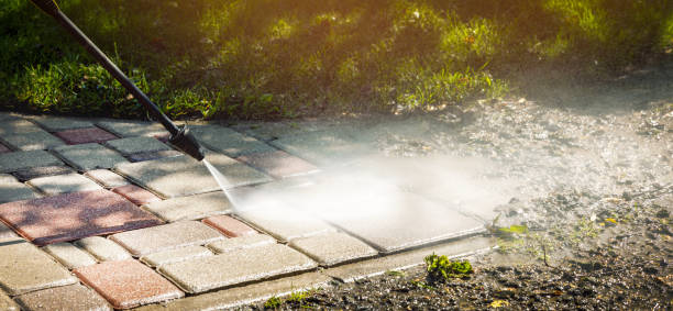 Best Graffiti Removal  in Apalachin, NY